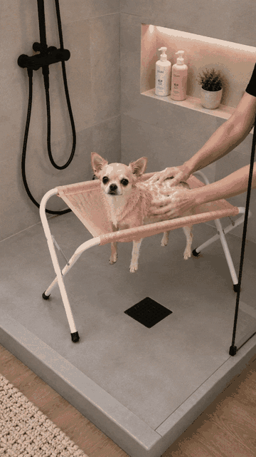 Mascota bañándose con PAW SPA
