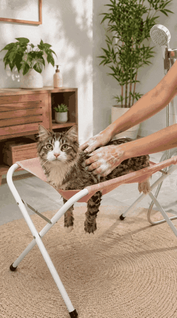 Mascota bañándose con PAW SPA